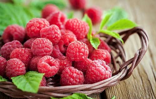 Antioxidants raspberries