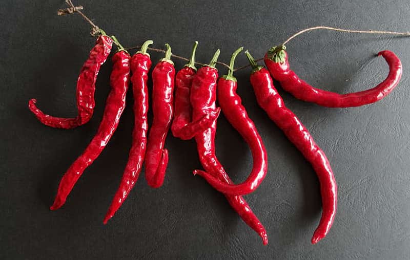Medicinal Plants: Chilli peppers
